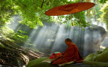 Đổ nước vào bình rỗng